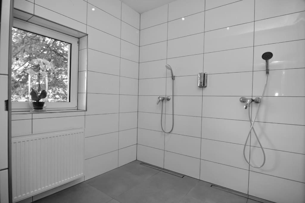 Fetischhaus Sm Apartment/Ferienwohnung Wiesbaden Exteriör bild