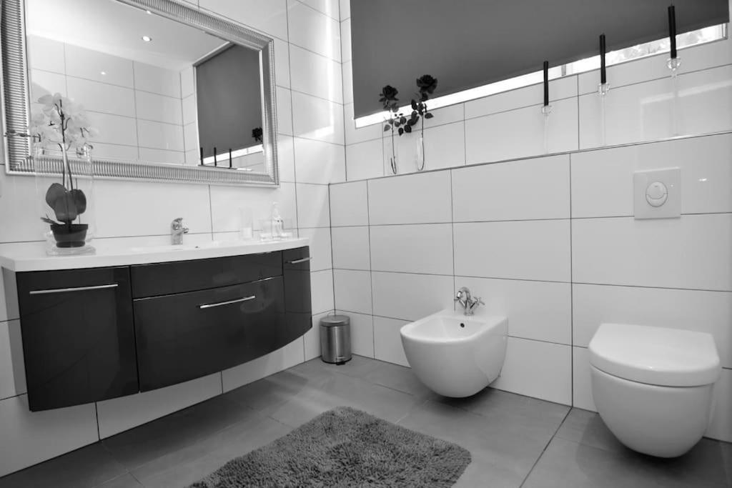 Fetischhaus Sm Apartment/Ferienwohnung Wiesbaden Exteriör bild